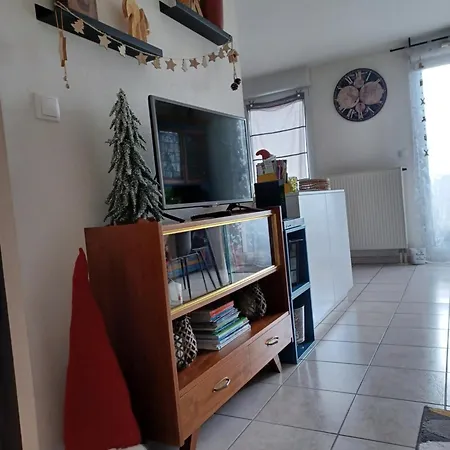 Le Nid Cosy Obernai, Terrasse, Garage, 3 Etoiles De Tres Bon Confort Lägenhet *