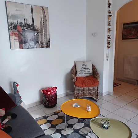 Le Nid Cosy Obernai, Terrasse, Garage, 3 Etoiles De Tres Bon Confort Appartamento Obernai