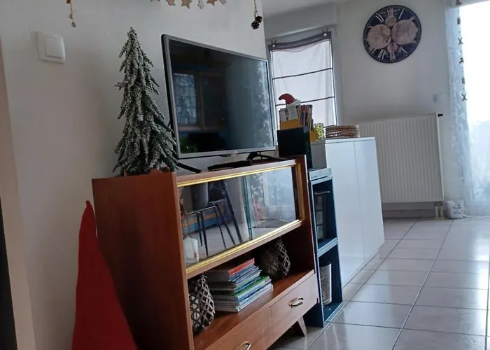 Le Nid Cosy Obernai, Terrasse, Garage, 3 Etoiles De Tres Bon Confort דירה *