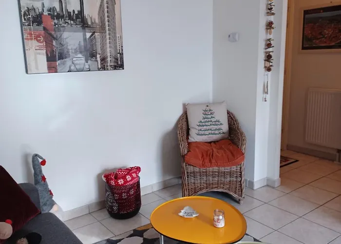 Le Nid Cosy Obernai, Terrasse, Garage, 3 Etoiles De Tres Bon Confort アパート オベルネ