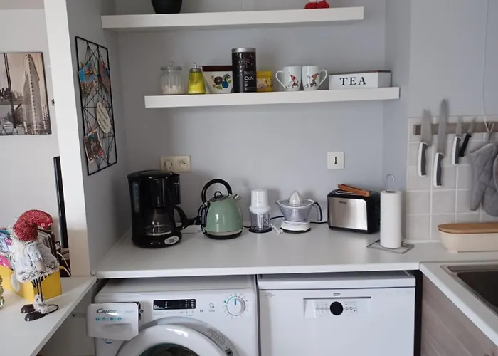 Le Nid Cosy Obernai, Terrasse, Garage, 3 Etoiles De Tres Bon Confort アパート