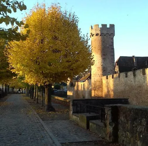 アパート Le Nid Cosy Obernai, Terrasse, Garage, 3 Etoiles De Tres Bon Confort