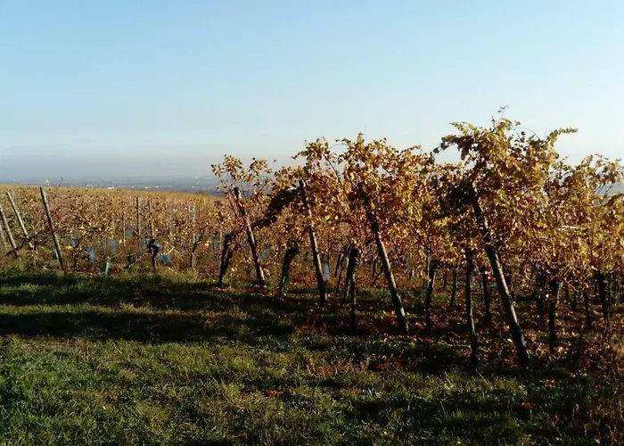 アパート Le Nid Cosy Obernai, Terrasse, Garage, 3 Etoiles De Tres Bon Confort